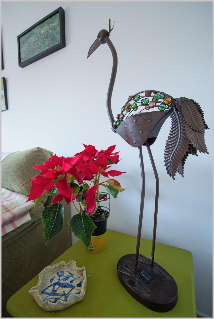 Casa De Pajaros Appartement